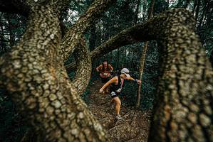 BIB: 
                            <button type="button" onclick="openModal(25668823)" class="btn btn-primary btn-sm float-right btn-popup" data-toggle="modal" data-target=".modal-high-quality">
                        <i class="fas fa-shopping-cart"></i> Add to Cart
                    </button>
                                            <button type="button" onclick="isThisMe(25668823, true)" class="btn btn-success btn-sm float-right btn-popup btn-isme hidden" data-toggle="tooltip" data-placement="bottom" title="นี่คือรูปของคุณใช่ไหม คลิกที่นี่เพื่อเอาเข้าอัลบั้ม">
                        <i class="fas fa-plus"></i> Add to album
                    </button>
                    <button type="button" onclick="isThisMe(25668823, false)" class="btn btn-warning btn-sm float-right btn-popup btn-isnotme hidden">
                        <i class="fas fa-ban"></i> Remove from album
                    </button>